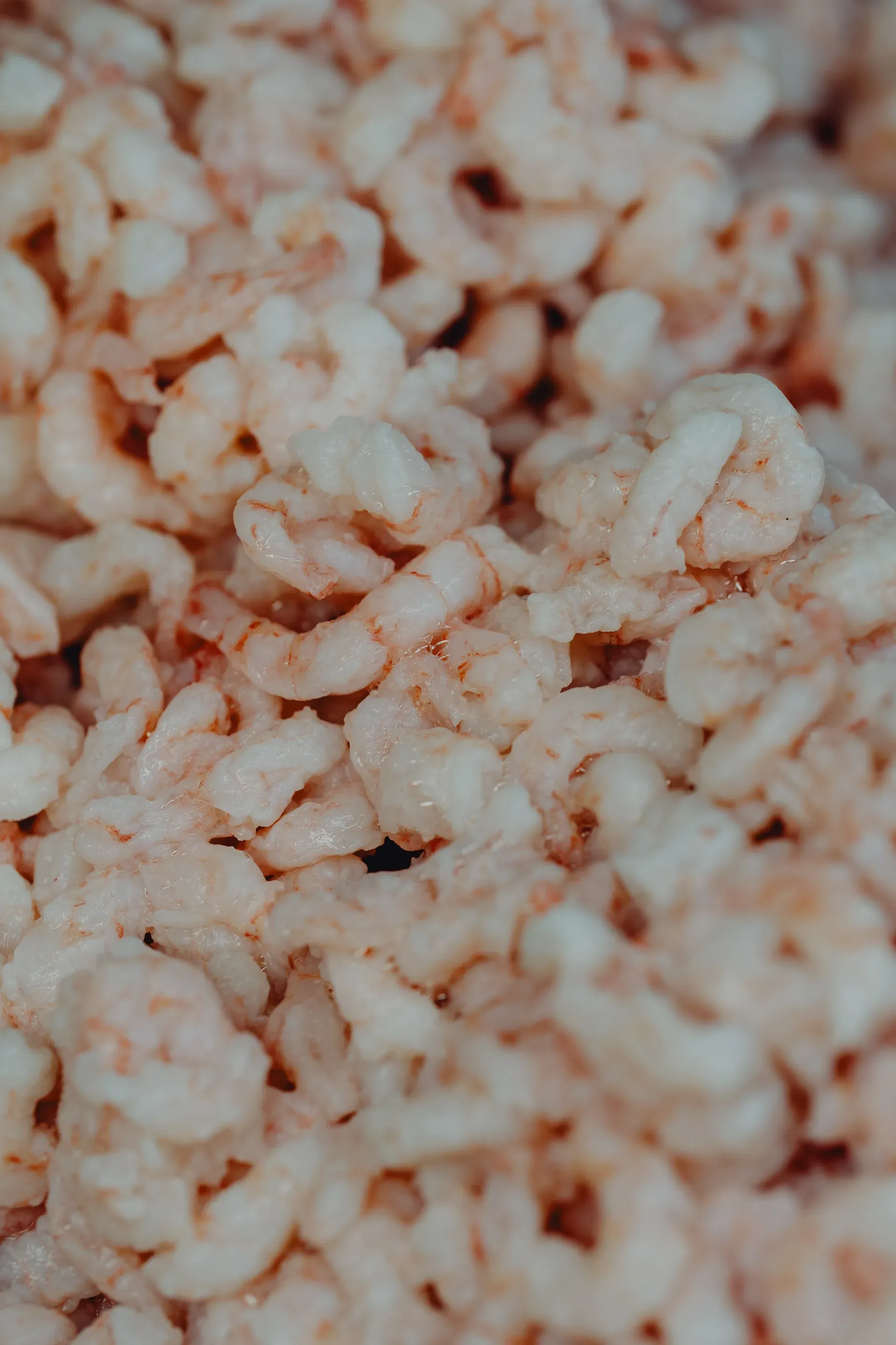 Peeled northern shrimp in bulk, Les Escoumins Fish Market